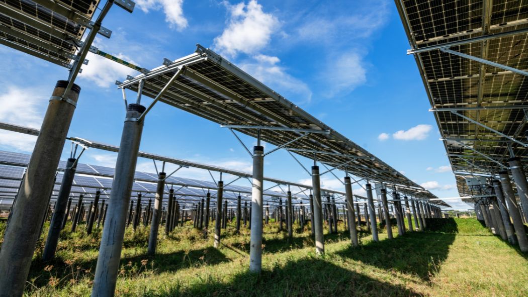 Row of photovoltaic modules at an industrial solar plant, showcasing the mounting structure on concrete pillars. A solar panel string is designed to maximize system voltage.